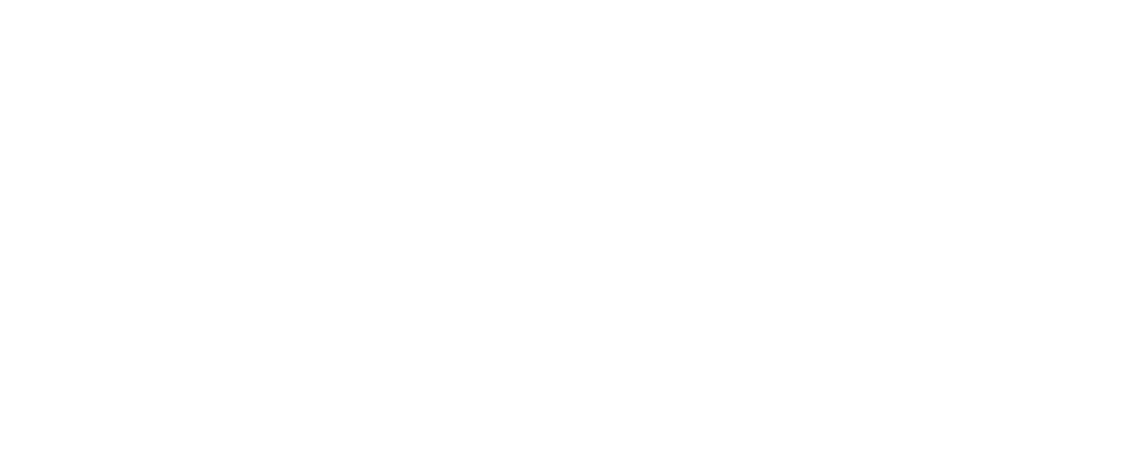 Made in Chicago Reversed Logo